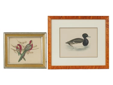 LOT OF ORNITHOLOGICAL BIRDS COLOR LITHOGRAPH PRINTS