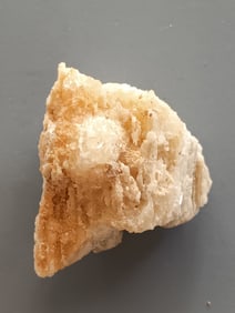 FOSSIL CORAL