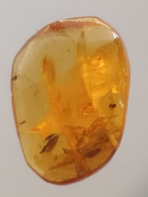 BURMITE AMBER WITH MOSQUITO & FLY