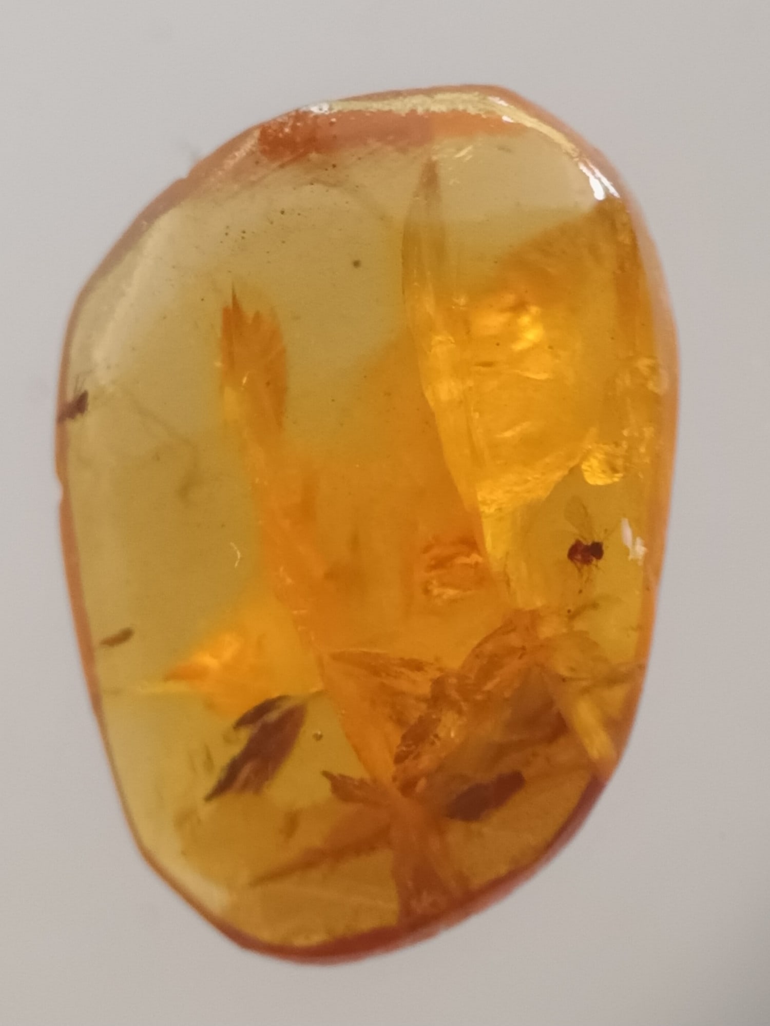 BURMITE AMBER WITH MOSQUITO & FLY: Yellow burmite amber with mosquito & fly (abr10/54). Weight: 0.43 grams. Age 99 mill. years. Origin: Hukwang valley, Kachin State, Myanmar. THIS LOT IS ELIGIBLE FOR A 30-DAY UNCONDITIONAL RETU