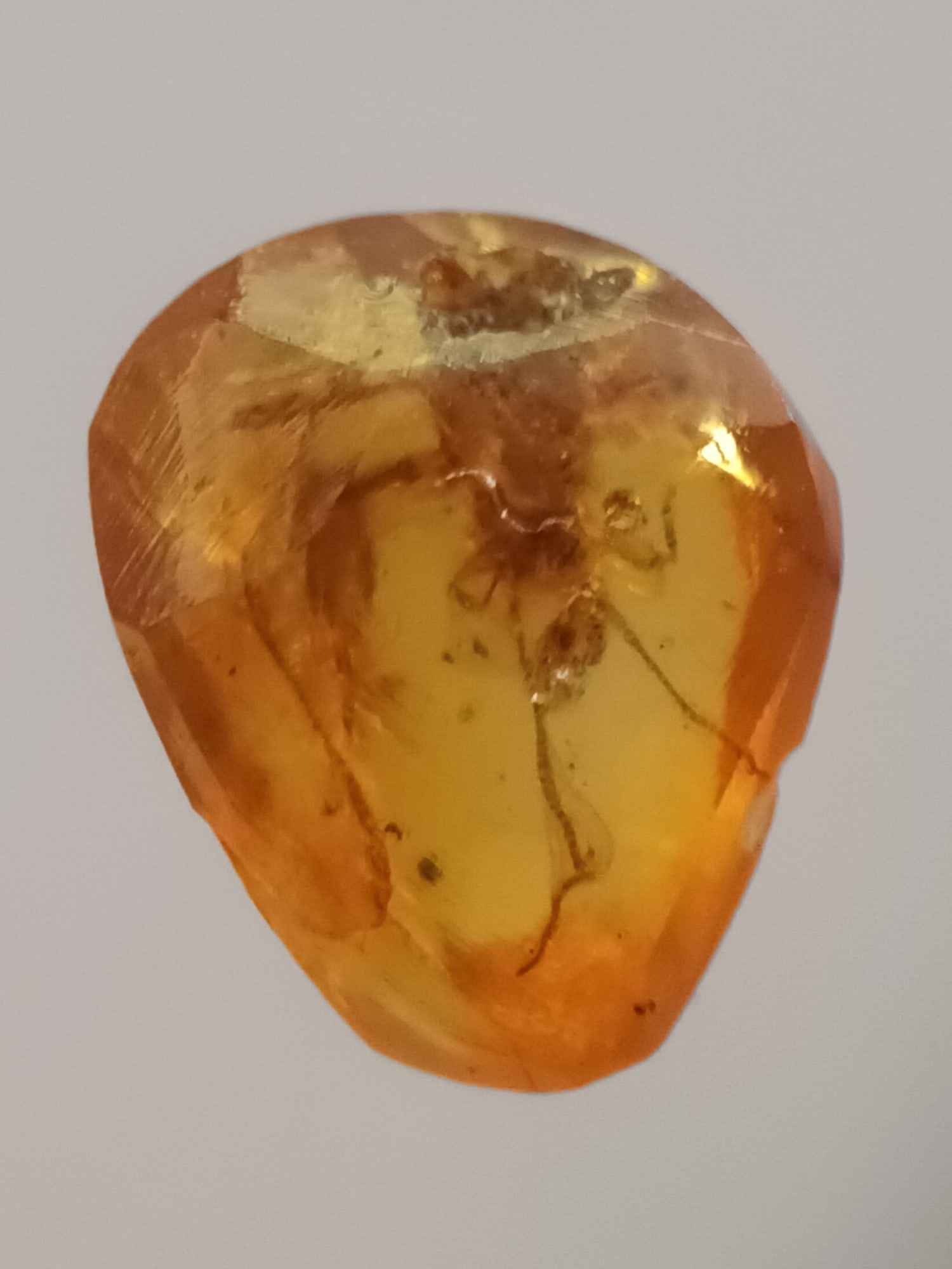 BURMITE AMBER WITH INSECT: Light yellow burmite amber with unidentified insect (abr12/42). Some natural cracks. Size: 10x85x5 mm. Weight: 0.27 grams. Origin: Hukawng Valley, Kachin State, Myanmar. Age 99 mill. years. THI