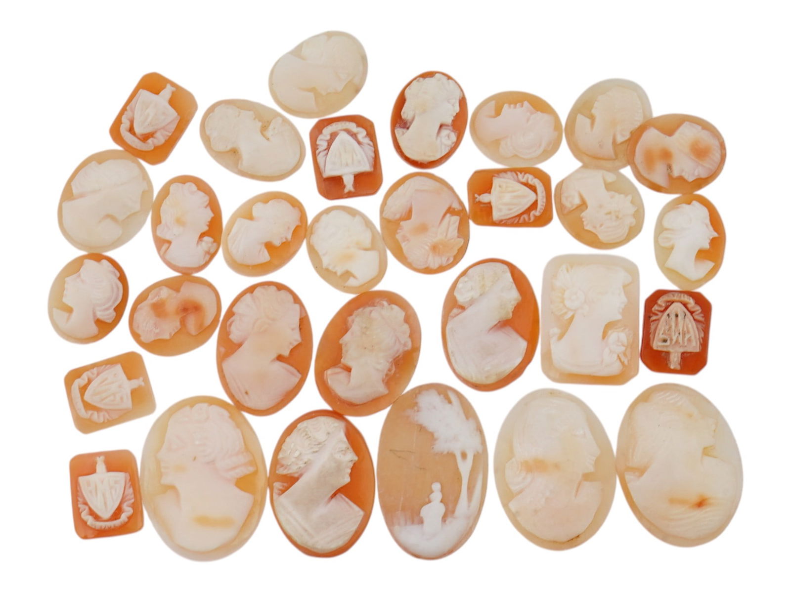 COLLECTION OF HAND CARVED SHELL CAMEO MEDALLIONS (1 of 3)