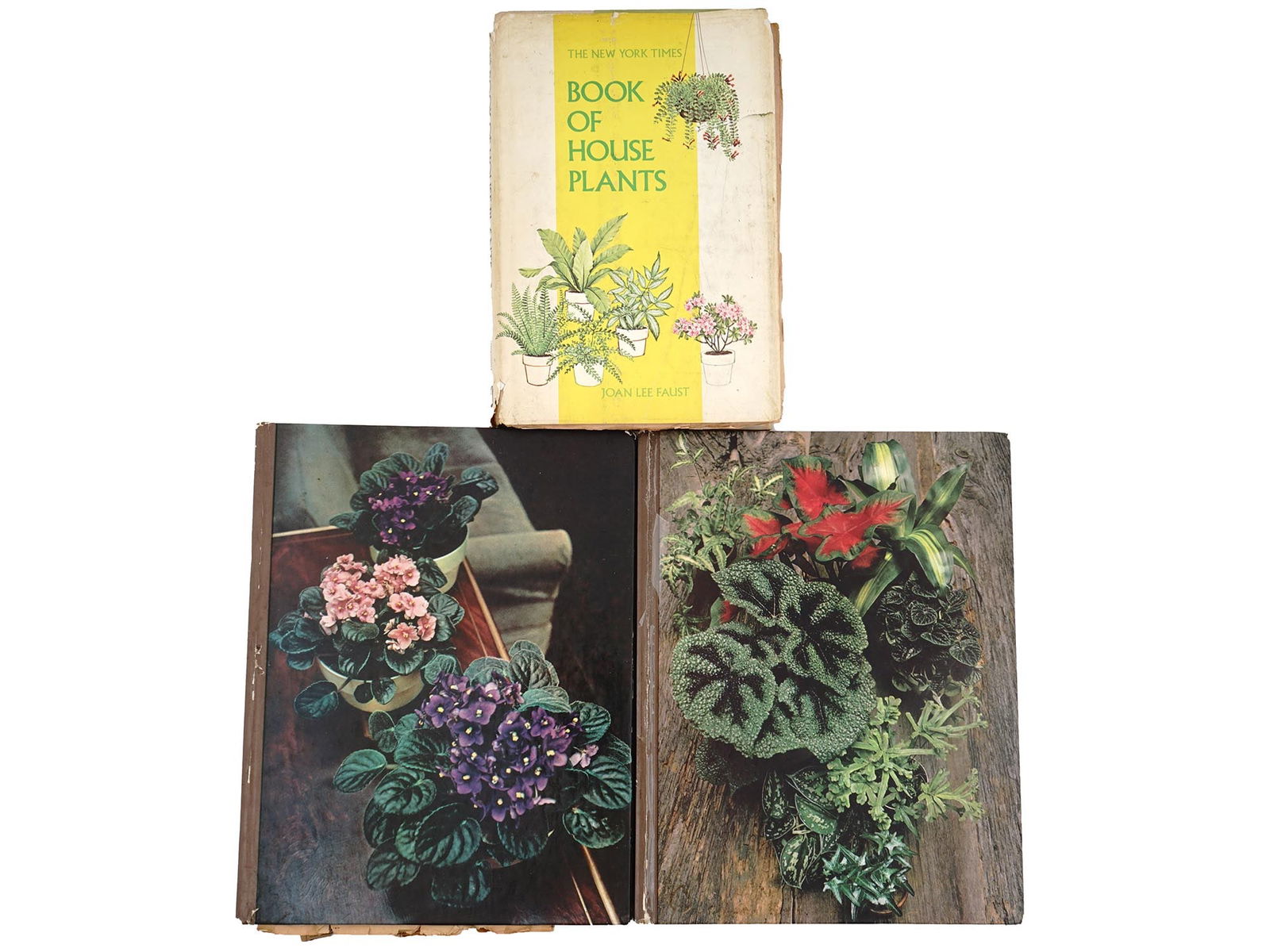 VINTAGE BOOKS ON GARDENING AND HOUSE PLANTING (1 of 12)