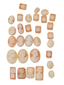 COLLECTION OF ASSORTED CARVED SHELL CAMEOS