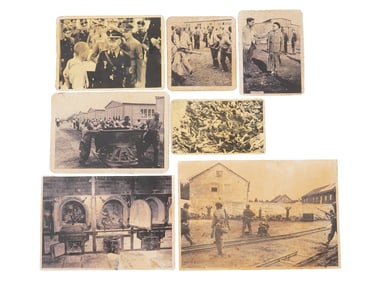 GROUP OF 7 PHOTOS OF NAZI CRIMES AGAINST HUMANITY