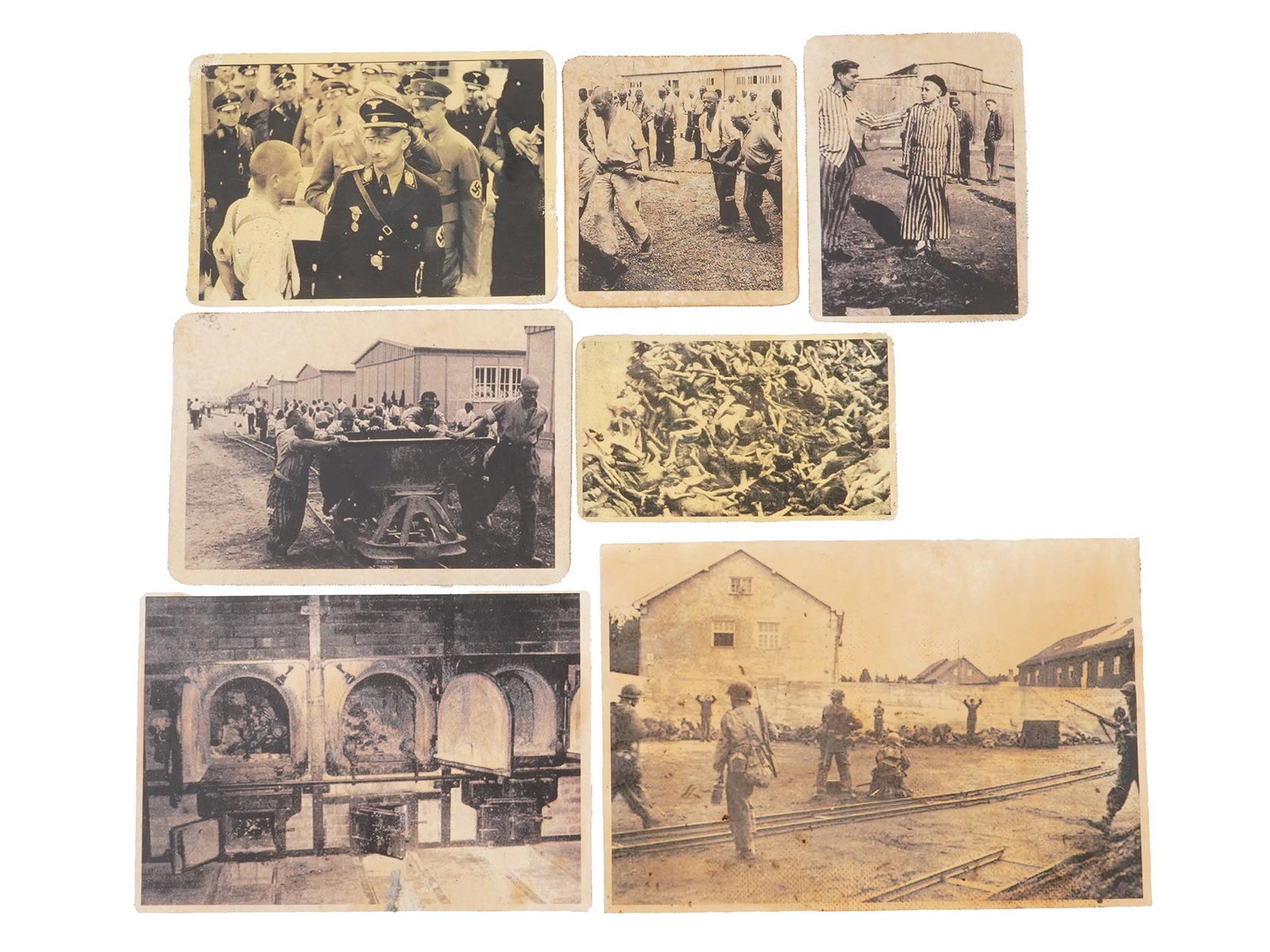 GROUP OF 7 PHOTOS OF NAZI CRIMES AGAINST HUMANITY: A lot of 7 reproductions of World War II black-and-white photographs showing the atrocities of Nazis against Jews in concentration camps. From the Polish archives. Some pictures feature Geheime Polize