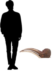 WEST AFRICAN GUINEA CARVED WOOD BAGA BIRD MASK