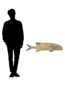 AFRICAN GUINEA BISSAU BIJOKO PAINTED WOODEN FISH FIGURE