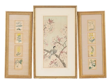 LOT OF BOTANICAL JAPANESE PRINTS BY HASHIMOTO YUZURU