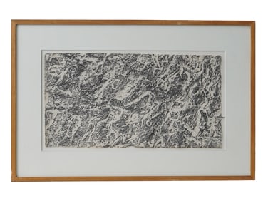 DOVE BRADSHAW AMERICAN GRAPHITE PAINTING