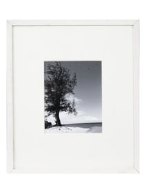 VINTAGE BLACK AND WHITE LANDSCAPE PHOTOGRAPH