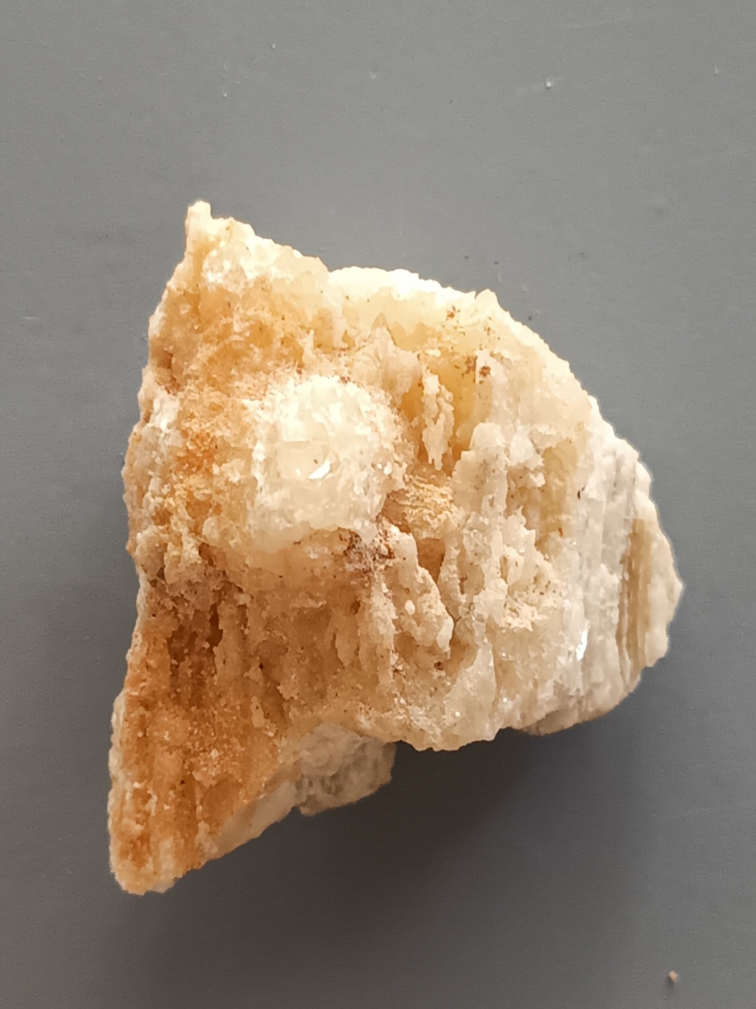 FOSSIL CORAL: Coral fossil (ca61/298). Weight: 13 grams. Origin: Panglao, Bohol, Philippines. With label. THIS LOT IS ELIGIBLE FOR A 30-DAY UNCONDITIONAL RETURN FROM THE DATE OF THE SALE. RETURN SHIPPING IS