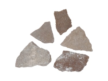 ANCIENT PRE HISTORIC STEGOSAURUS EGG SHELL FRAGMENTS