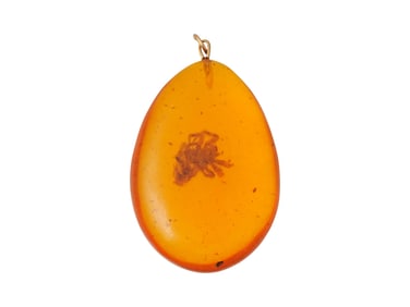 PREHISTORIC AMBER PENDANT WITH ANCIENT SPIDER INCLUSION
