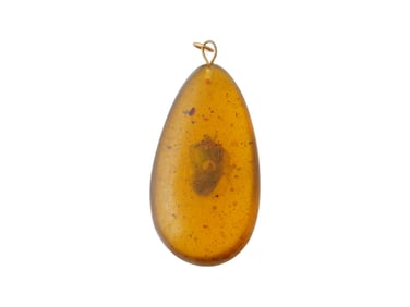 ANCIENT PREHISTORIC POLISHED AMBER PENDANT W INSECT