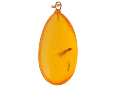 ANCIENT PREHISTORIC POLISHED AMBER PENDANT W INSECT