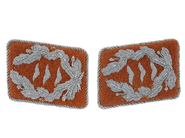 NAZI GERMAN WWII MODEL LUFTWAFFE OBERST COLLAR TABS