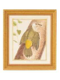 ATTR FRANCOIS-NICOLAS MARTINET FRENCH ENGRAVING