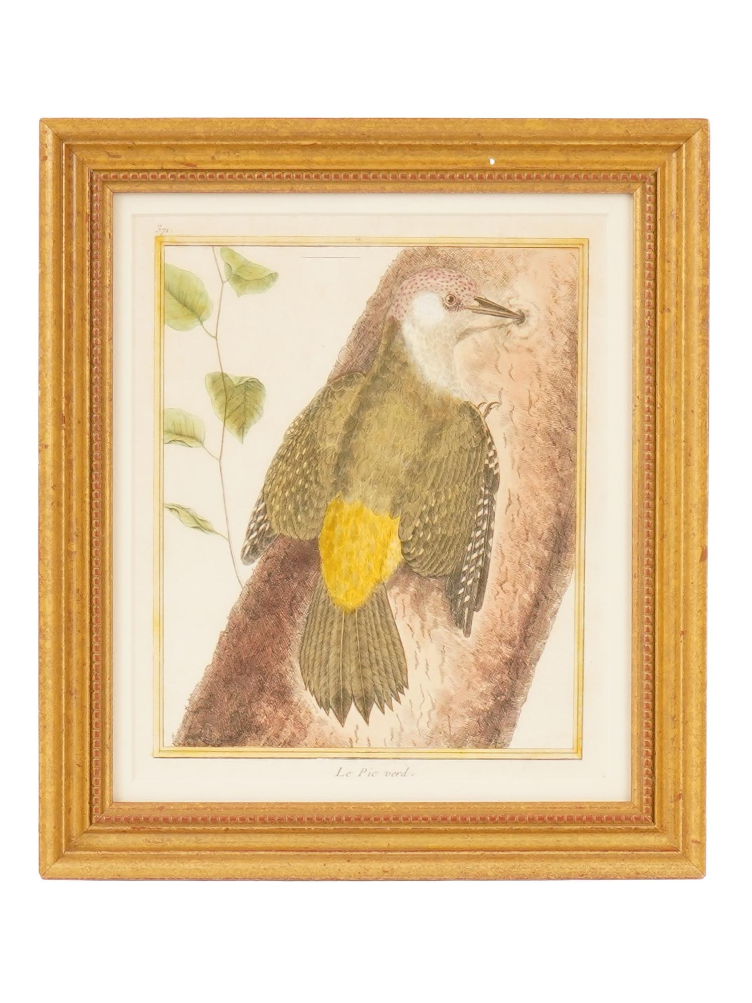 ATTR FRANCOIS-NICOLAS MARTINET FRENCH ENGRAVING (1 of 5)