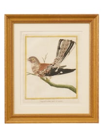 FRANCOIS-NICOLAS MARTINET FRENCH COLOR ENGRAVING