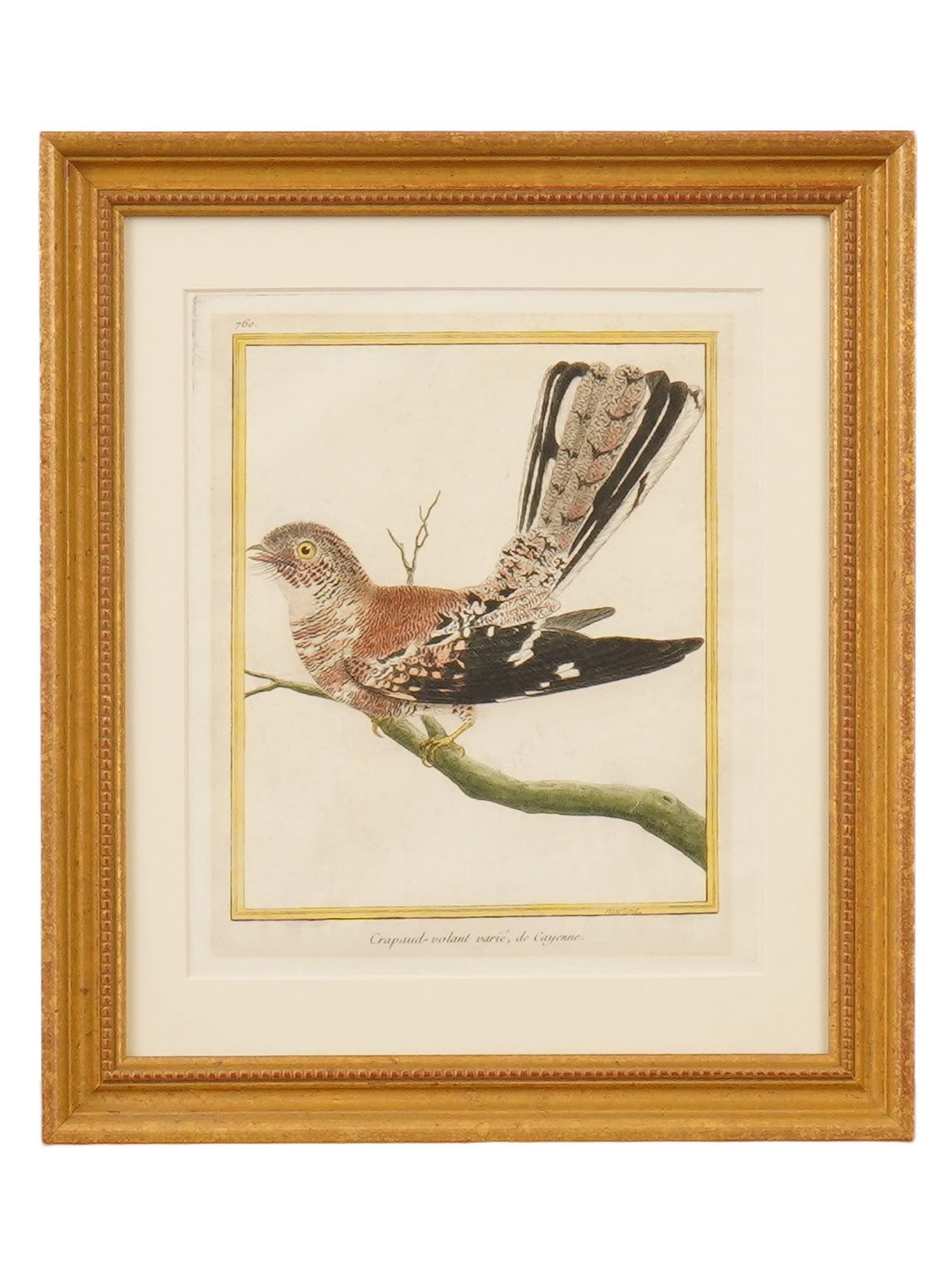 FRANCOIS-NICOLAS MARTINET FRENCH COLOR ENGRAVING (1 of 5)