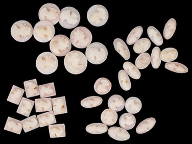 COLLECTION OF ANTIQUE HAND CARVED SHELL CAMEOS