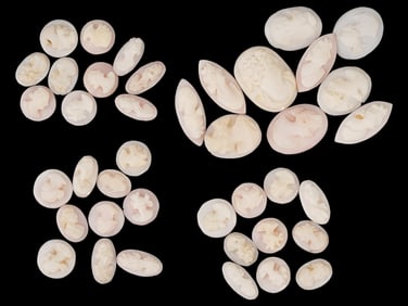 COLLECTION OF ANTIQUE PORTRAIT CARVED SHELL CAMEOS