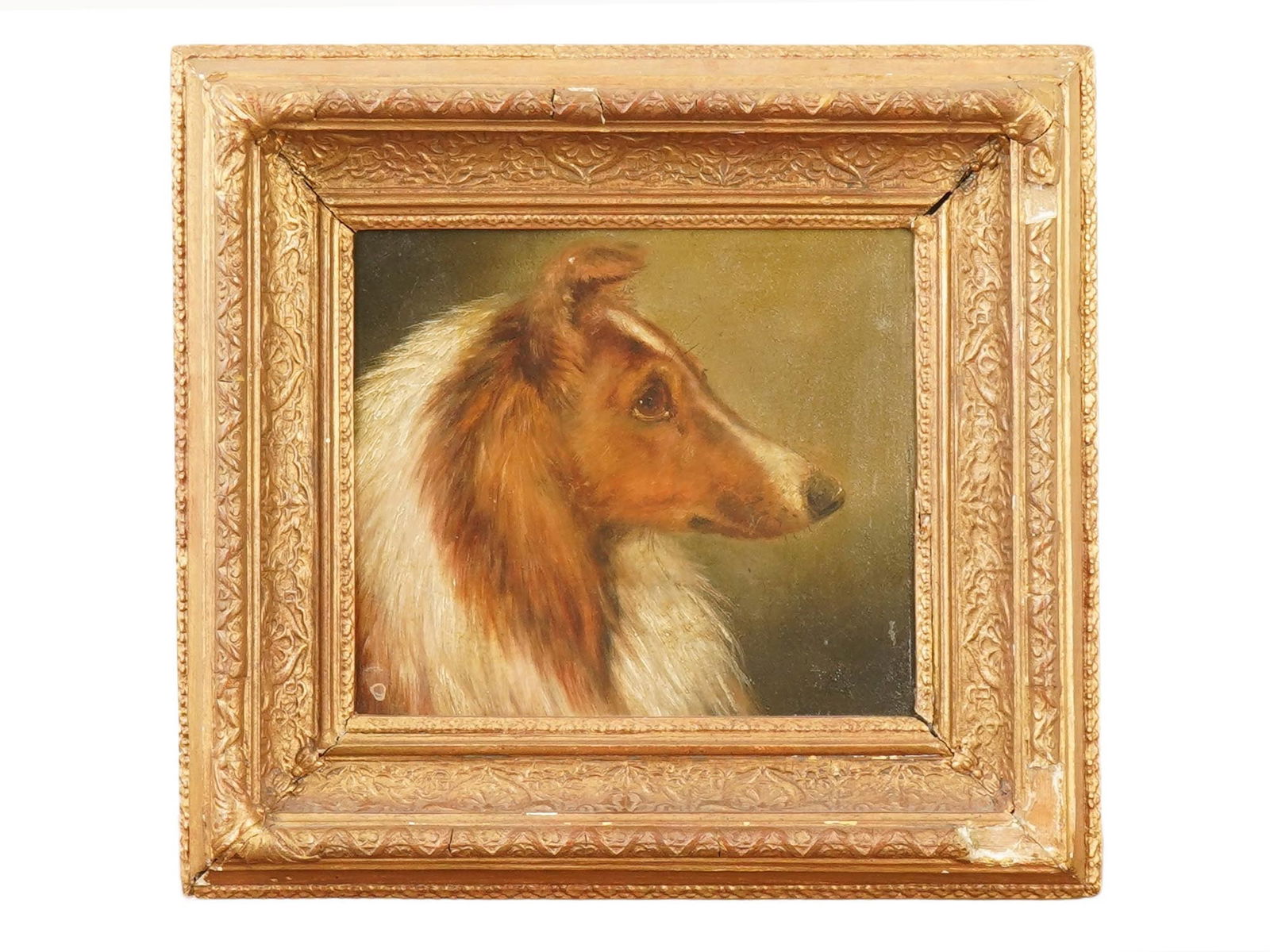 ANTIQUE EUROPEAN OIL COLLIE DOG PORTRAIT PAINTING (1 of 4)