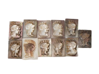 COLLECTION OF ROMAN PORTRAIT HAND CARVED SHELL CAMEO