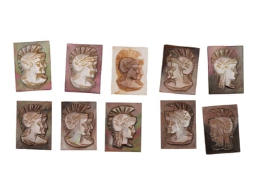 COLLECTION OF ROMAN PORTRAIT CARVED SHELL CAMEOS