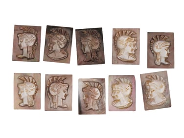 COLLECTION OF ROMAN PORTRAIT CARVED SHELL CAMEO