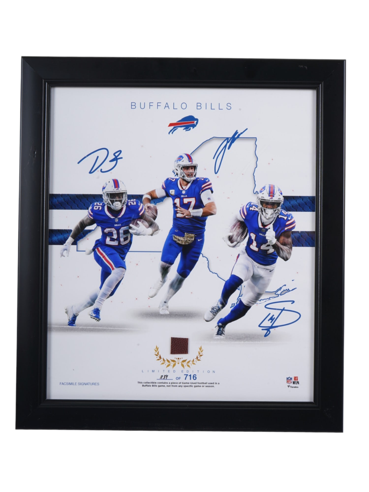 LTD AMERICAN BUFFALO BILLS PHOTO AUTOGRAPHED BY PLAYERS (1 of 6)