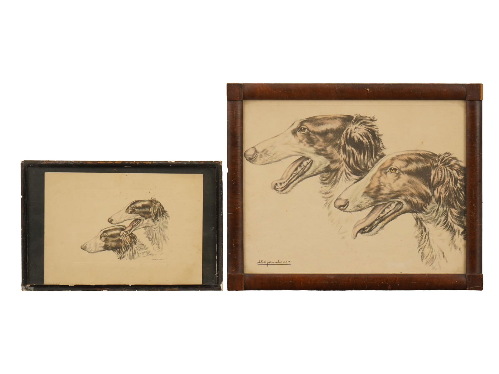 LOT OF DOG PORTRAITS ETCHING AND LITHOGRAPH SIGNED (1 of 6)