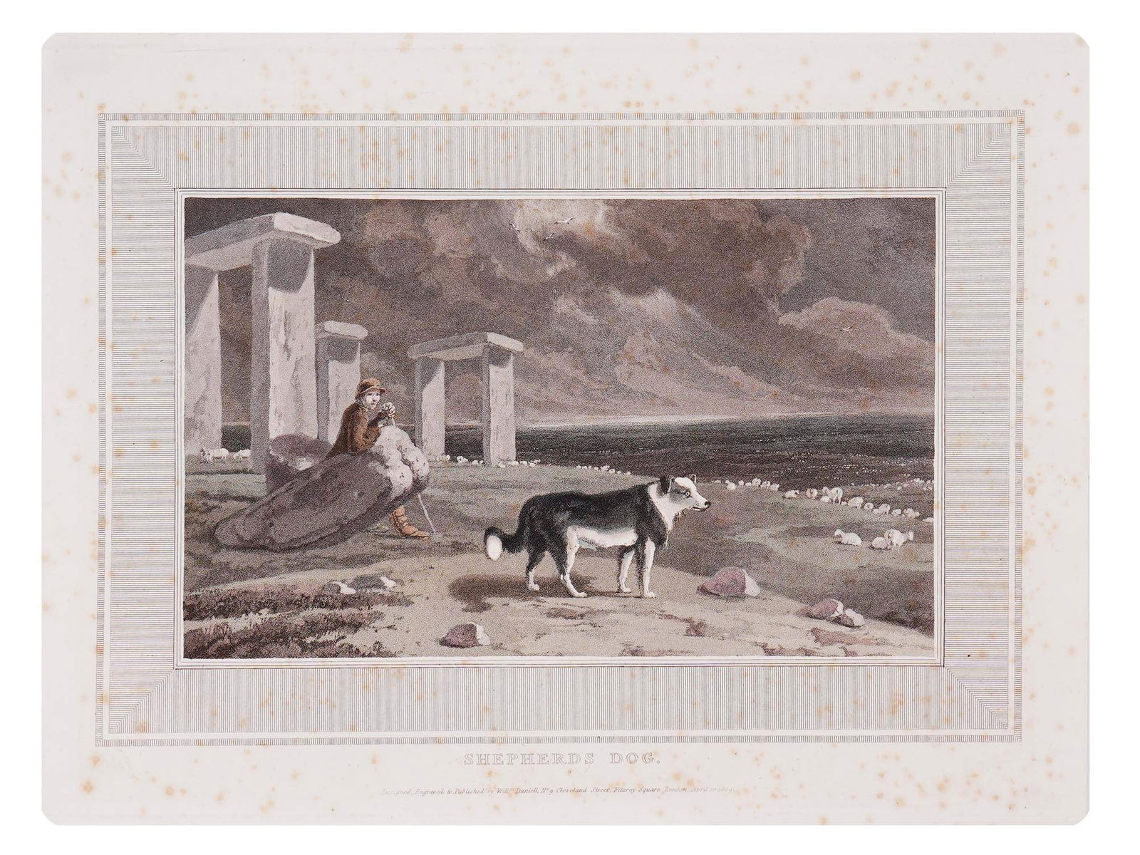 WILLIAM DANIELL ENGLISH COLOR ENGRAVING SHEPHERDS DOG: Engraving and aquatint on paper by William Daniell, 1769 to 1837, an English painter, printmaker, and traveller. Plate from the book Interesting Selections from Animated Nature, London, 1809. Titled S