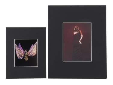 VINTAGE PHOTOGRAVURES BY WILLIAM WEGMAN W COA