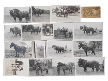 COLLECTION OF VINTAGE PHOTOGRAPHS HORSES IN HARNESS