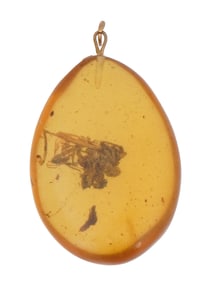 ANCIENT PREHISTORIC AMBER PENDANT WITH SPIDER INSIDE
