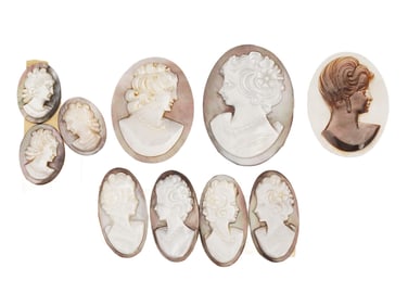 COLLECTION OF 10 CARVED SHELL CAMEO MEDALLIONS