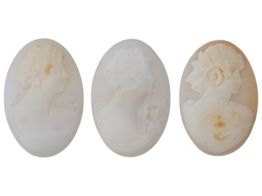 COLLECTION OF PORTRAIT CARVED SHELL CAMEO MEDALLIONS