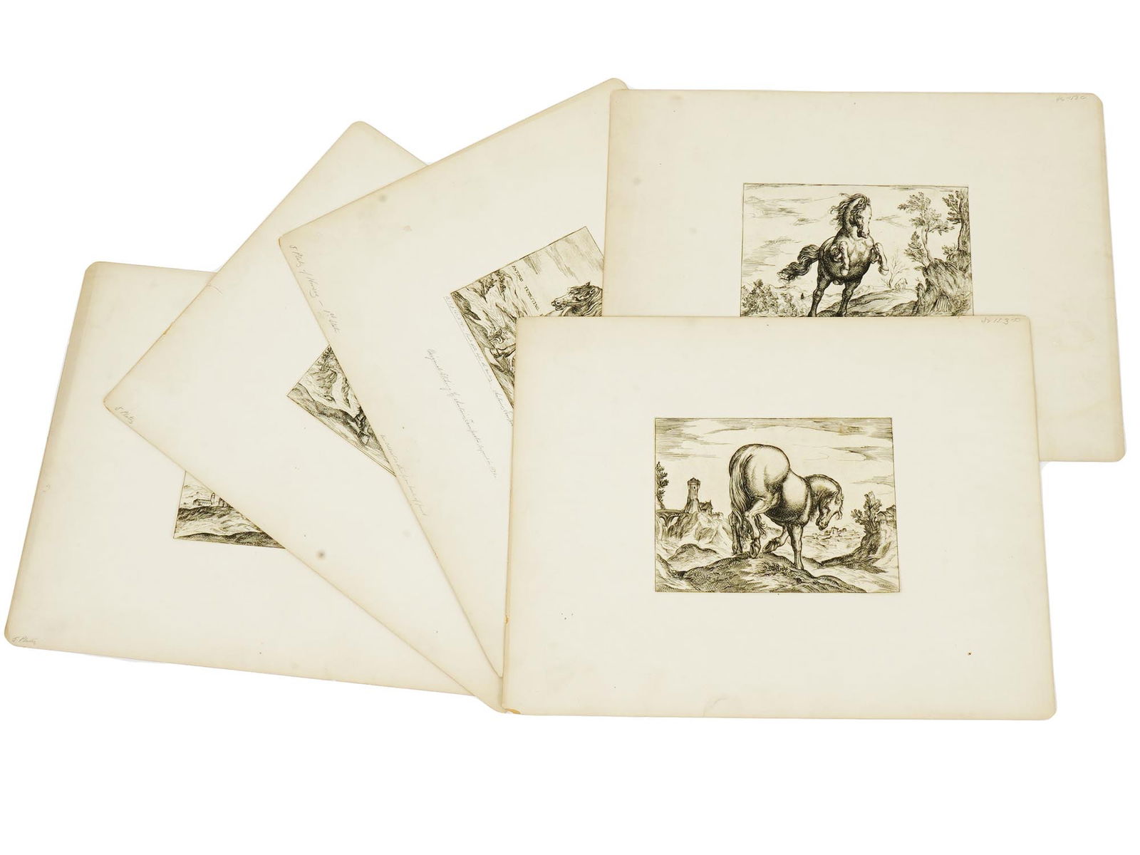 ANTIQUE HORSE ETCHINGS BY ANTONIO TEMPESTA C 1590 (1 of 12)