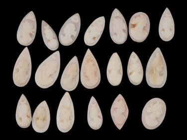 COLLECTION OF FEMALE PORTRAIT CARVED CORAL CAMEOS