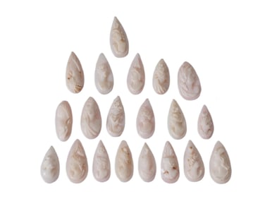 COLLECTION OF FEMALE PORTRAIT CARVED CORAL CAMEOS