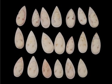 COLLECTION OF FEMALE PORTRAIT CARVED CORAL CAMEOS