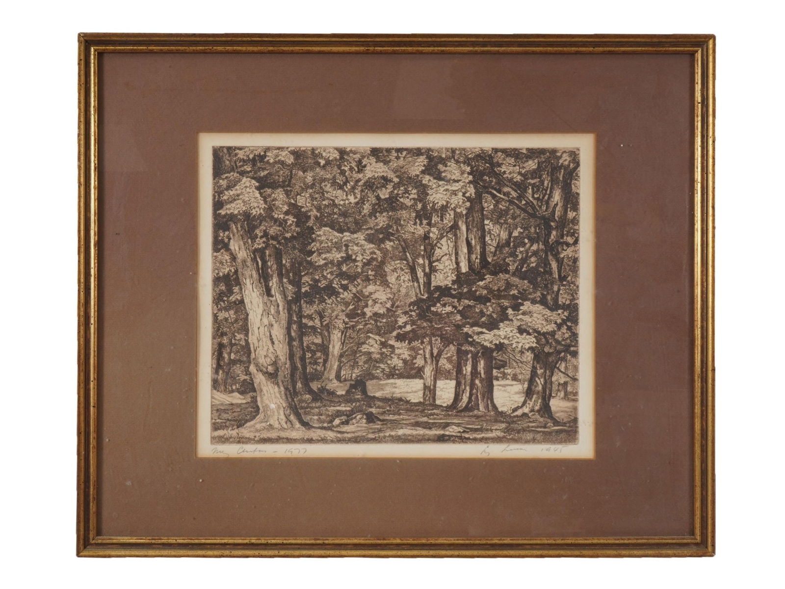 LUIGI LUCIONI AMERICAN LANDSCAPE ETCHING TREE TAPESTRY (1 of 5)