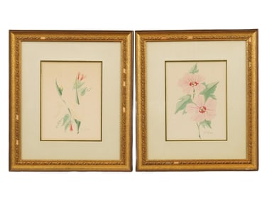 TWO WATERCOLOR BOTANICAL PAINTINGS SIGNED G GRAY