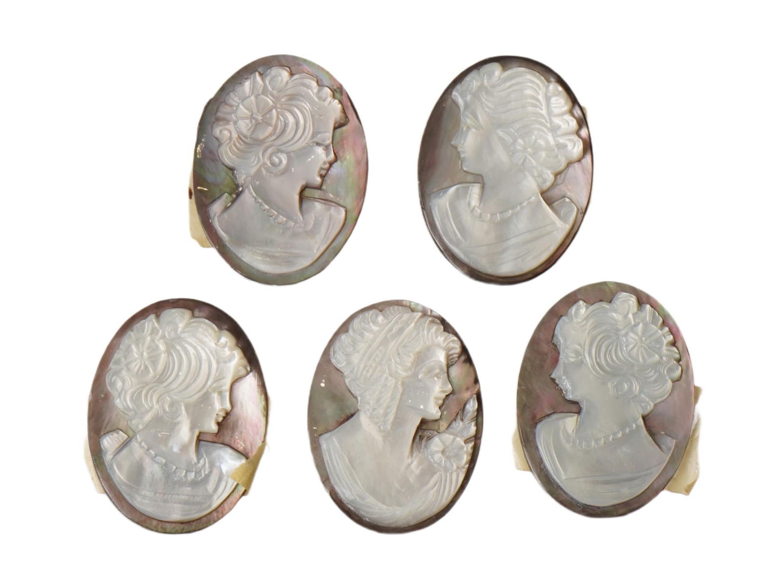 COLLECTION OF FEMALE PORTRAIT CARVED SHELL CAMEOS (1 of 3)