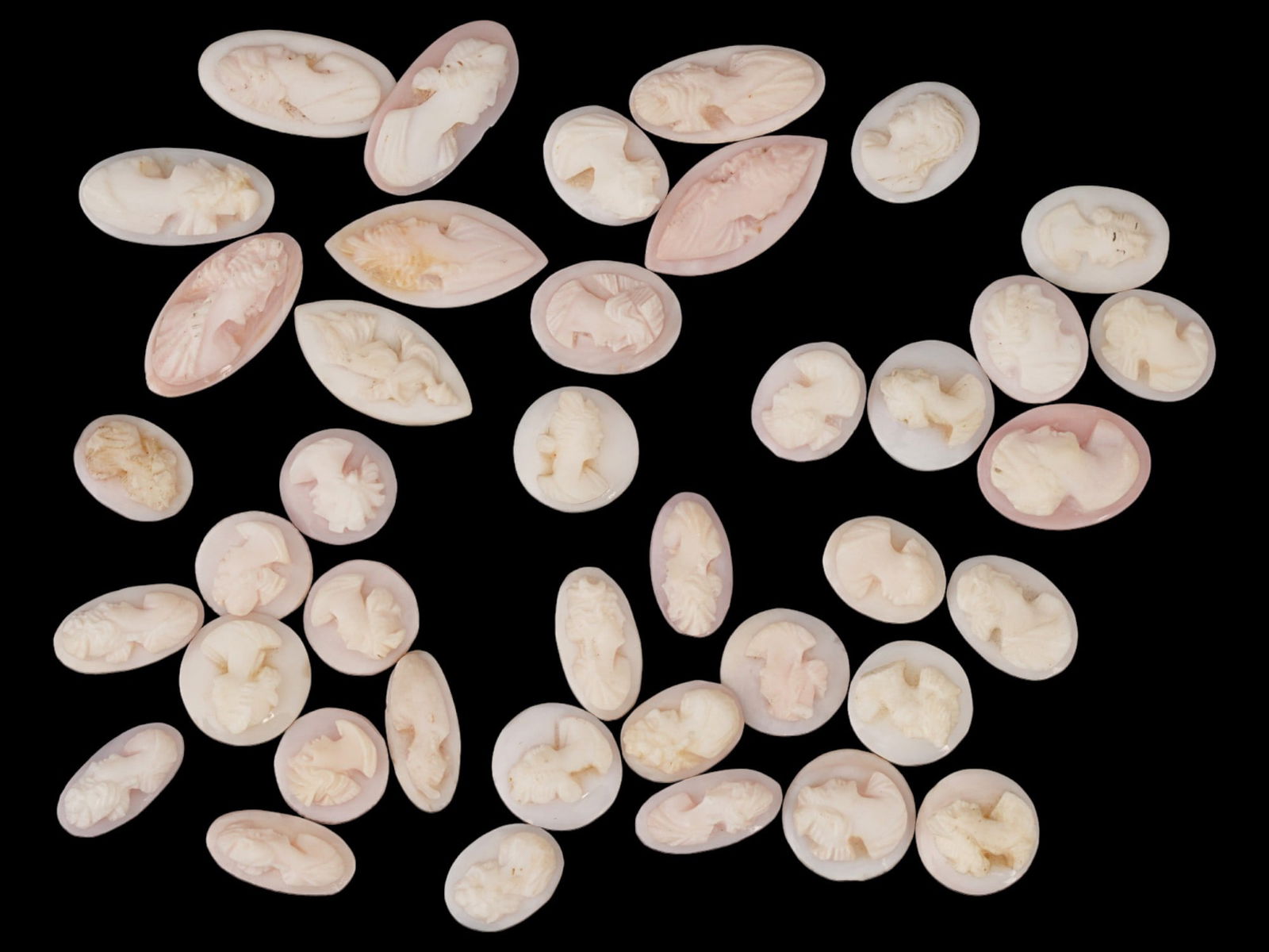 LOT OF 40 CARVED PORTRAIT CORAL SHELL CAMEO MEDALLIONS: A collection of 40 carved coral stone cameo medallions in various sizes and shapes. Each oval or circular cut shell cameo depicts a relief female portrait in profile in the Victorian and Roman manners
