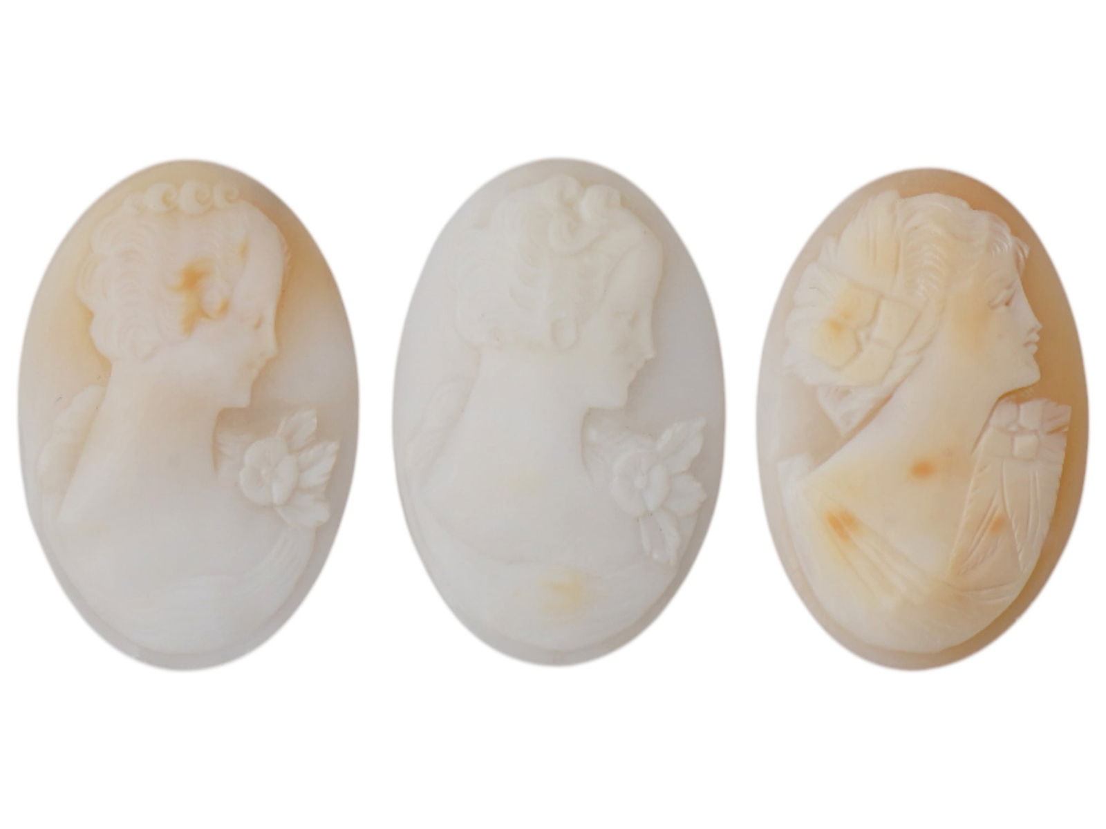 COLLECTION OF PORTRAIT CARVED SHELL CAMEO MEDALLIONS (1 of 4)