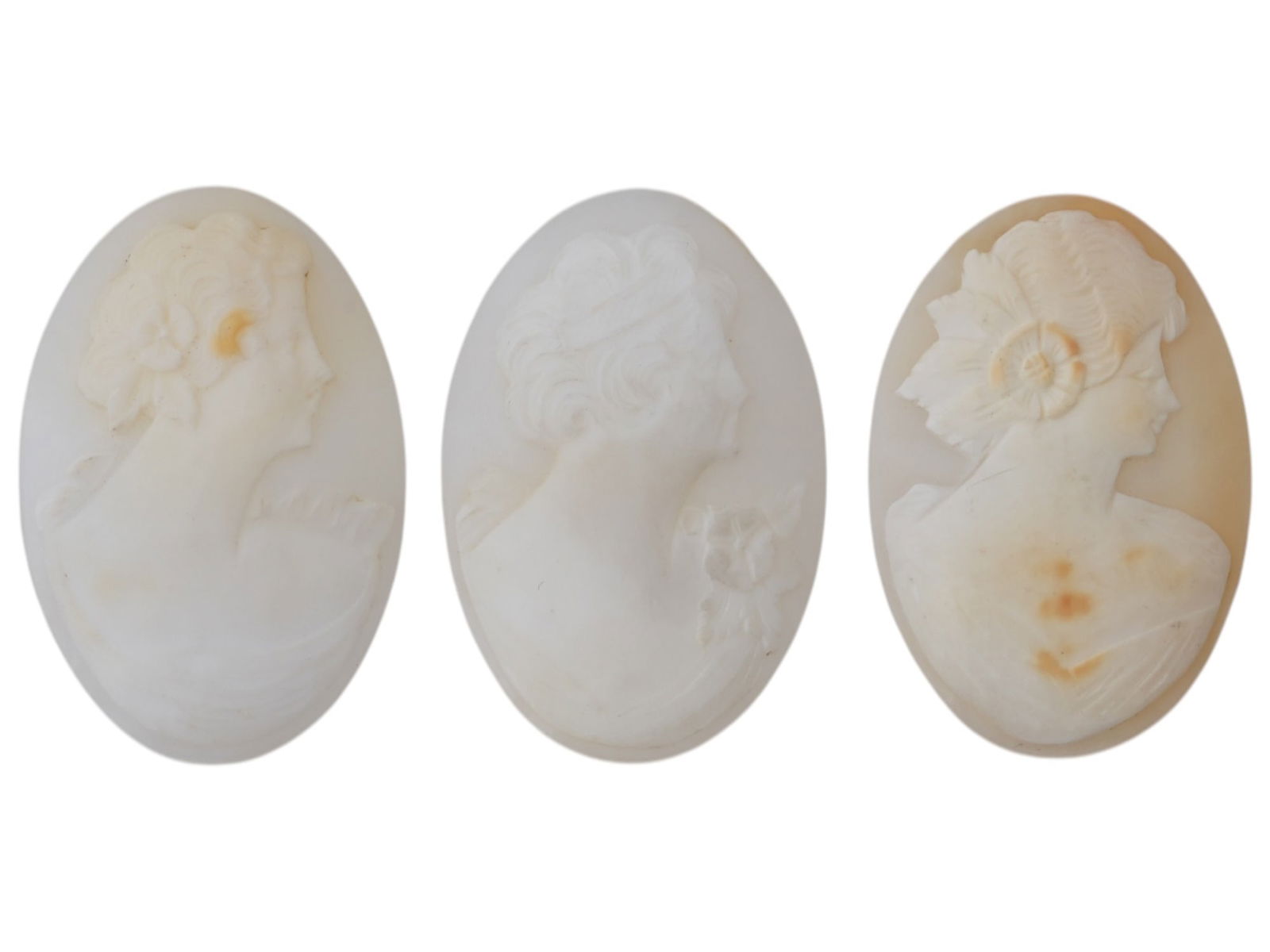 COLLECTION OF PORTRAIT CARVED SHELL CAMEO MEDALLIONS (1 of 3)