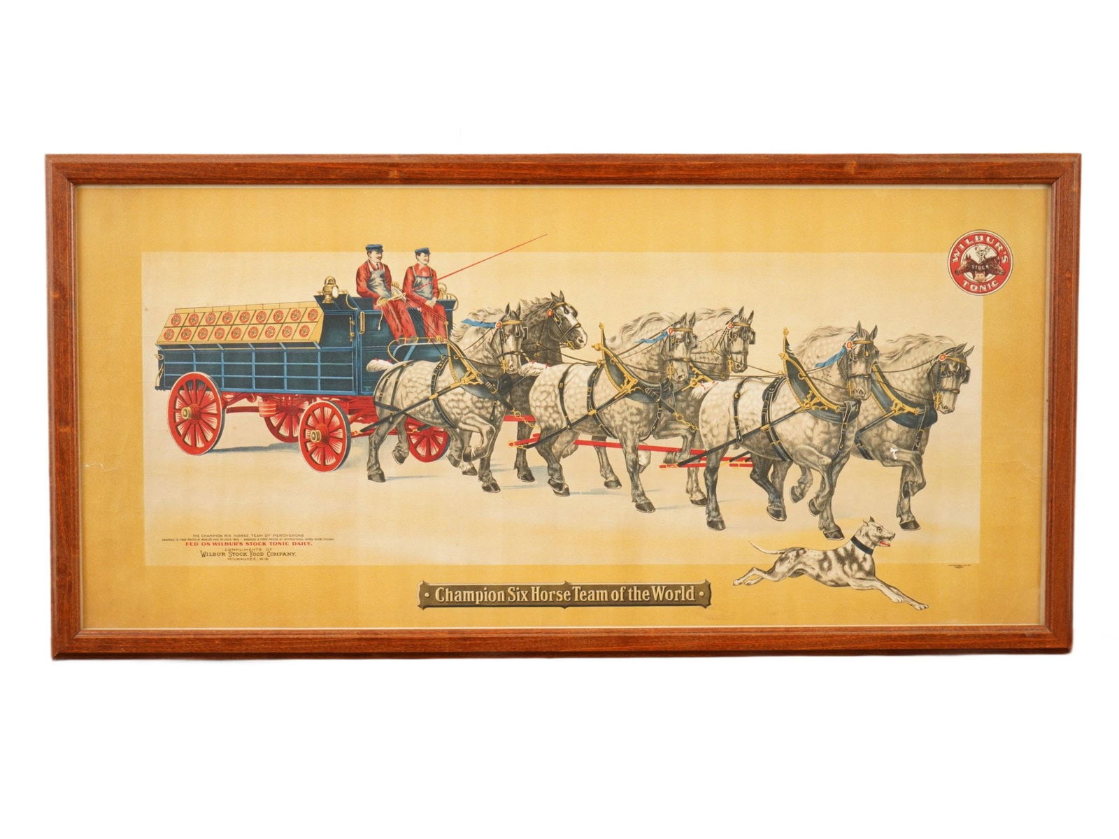 1900S WILBURS STOCK TONIC AD LITHOGRAPH FRAMED (1 of 6)